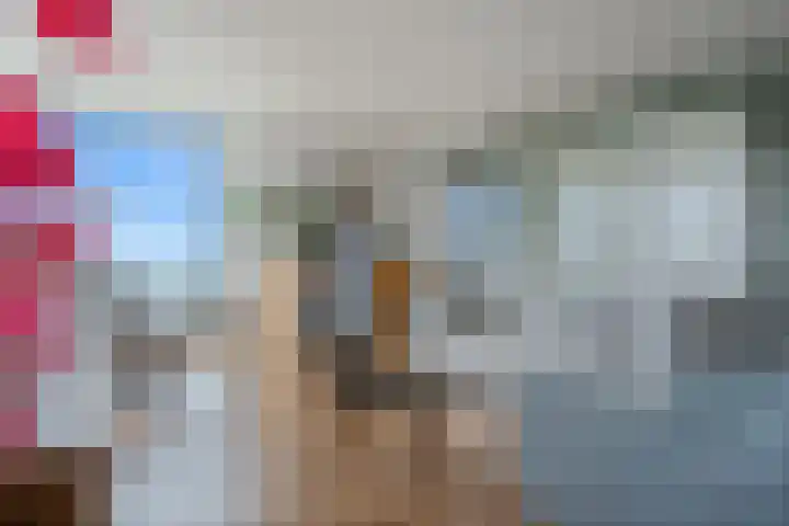 Loevesteinlaan 497 C Den Haag thumbnail 8