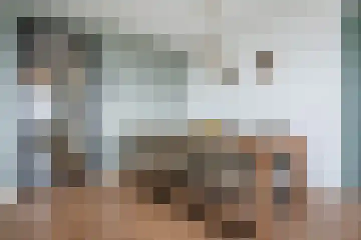 Loevesteinlaan 497 C Den Haag thumbnail 9