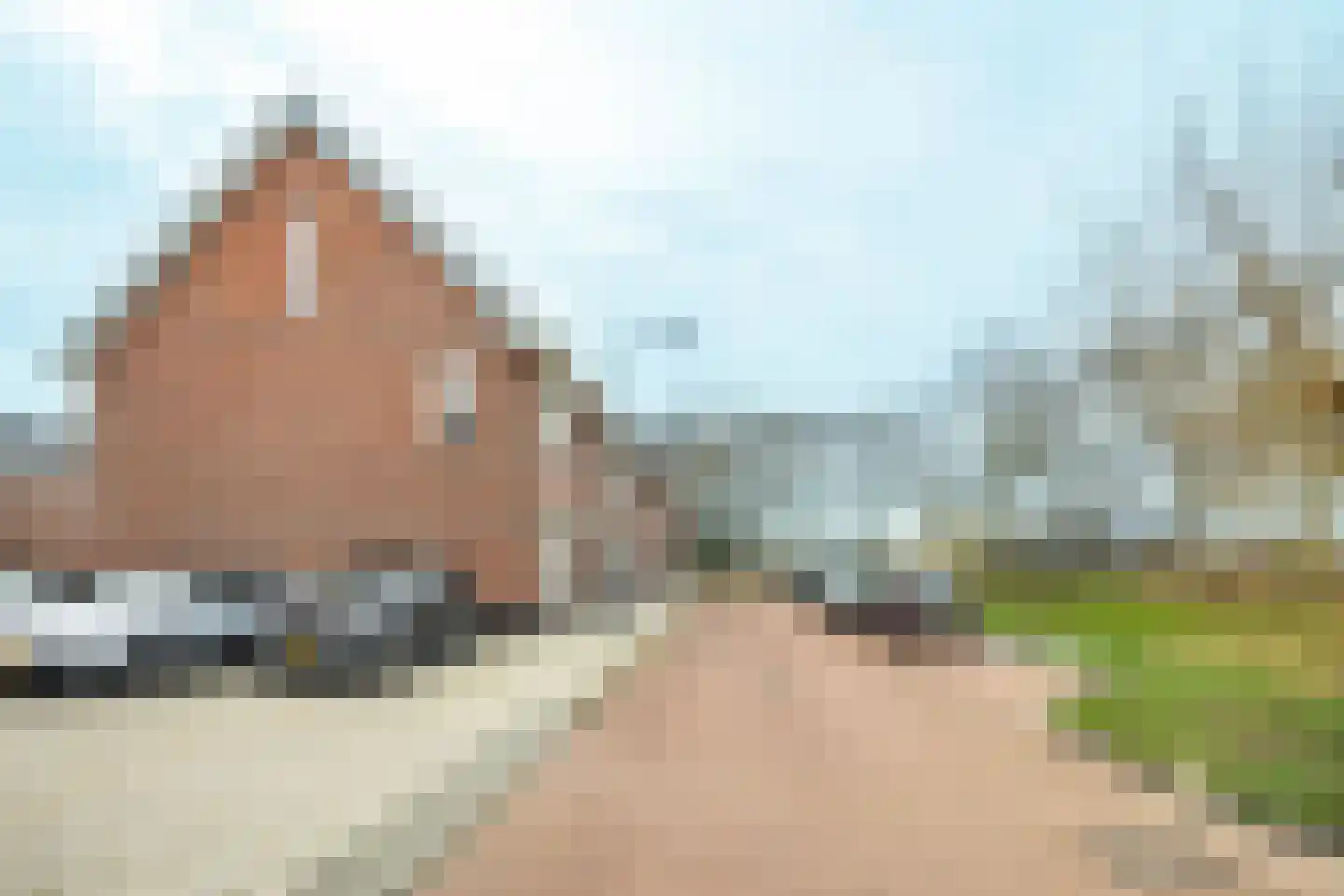Loevesteinlaan 79 Gorinchem thumbnail 23