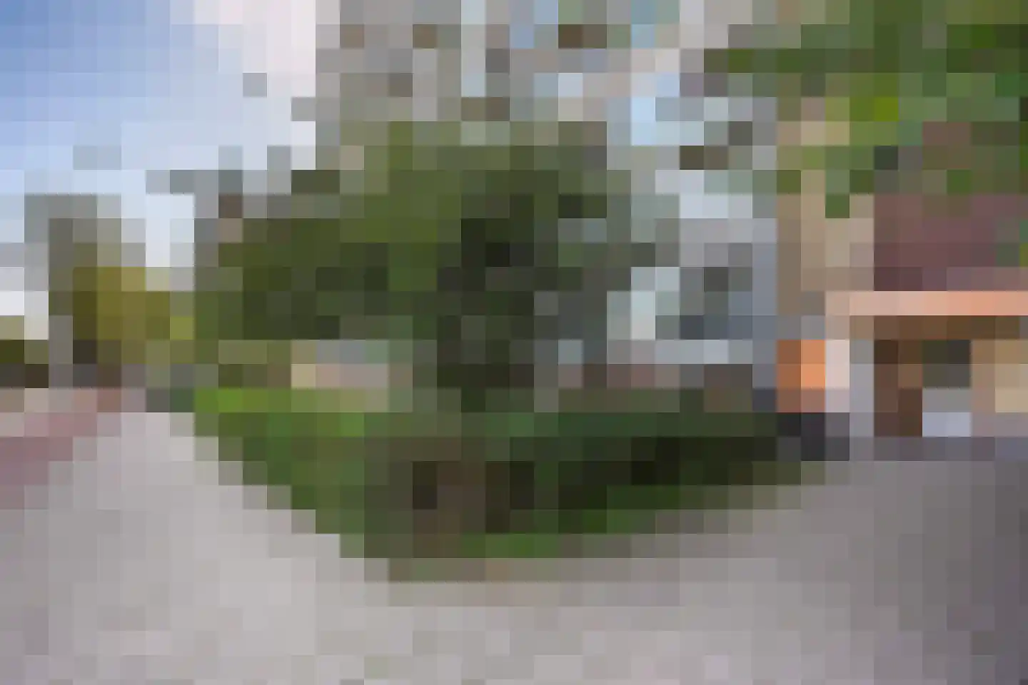 Loevesteinlaan 895 A Den Haag thumbnail 10