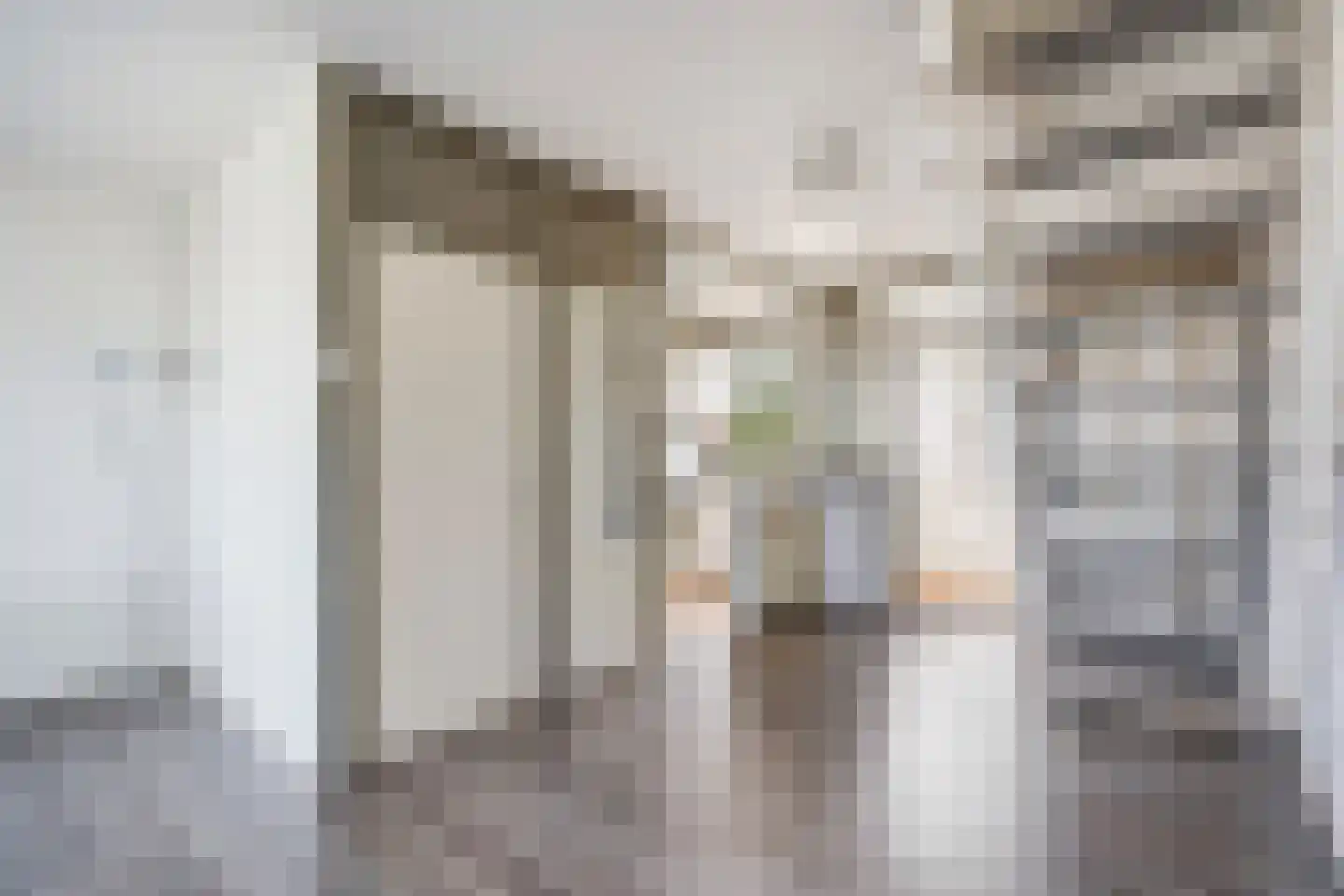 Loevesteinlaan 895 A Den Haag thumbnail 10