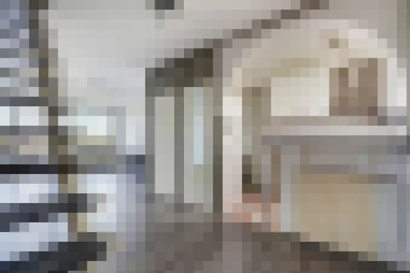 Loevesteinlaan 895 A Den Haag thumbnail 11