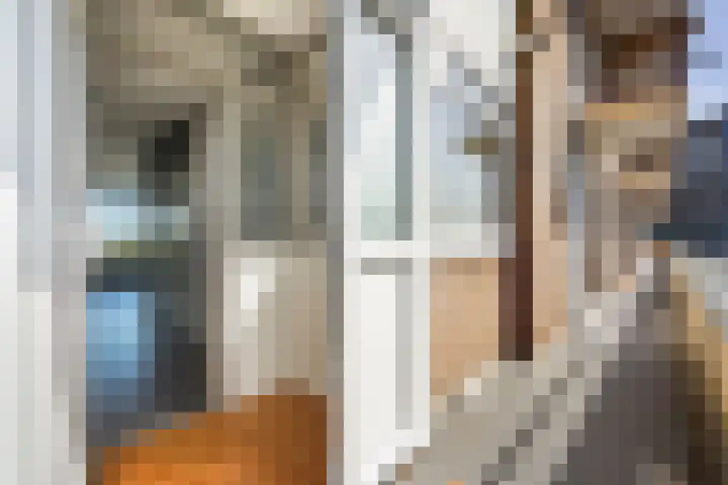 Loevesteinlaan 895 A Den Haag thumbnail 13