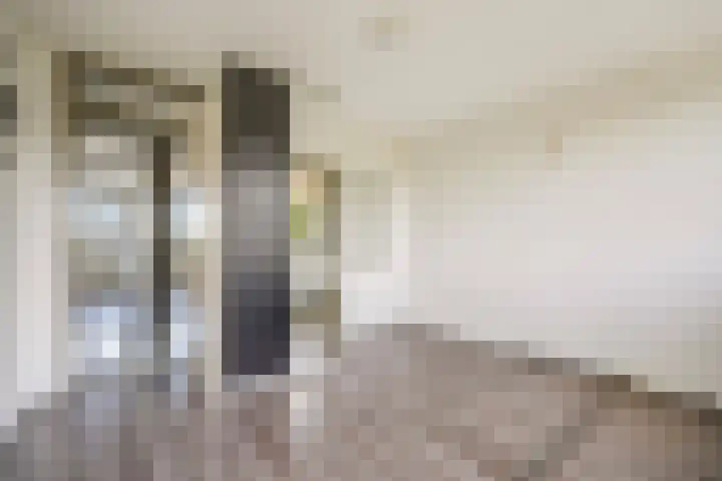 Loevesteinlaan 895 A Den Haag thumbnail 19
