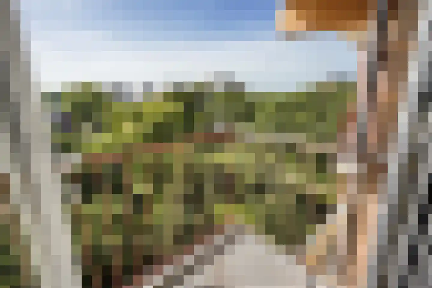 Loevesteinlaan 895 A Den Haag thumbnail 23