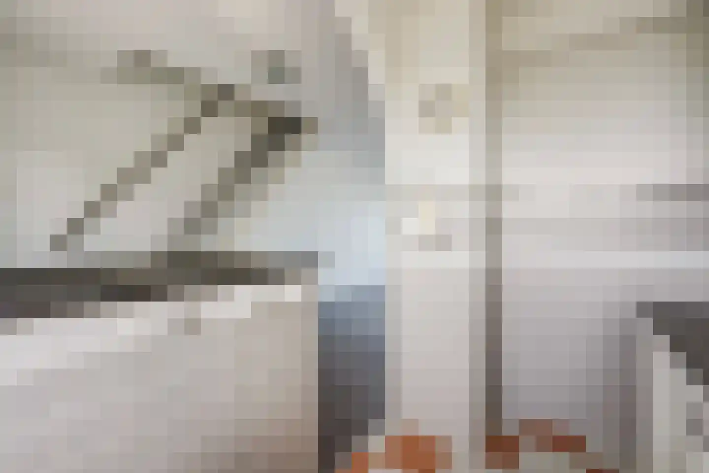 Loevesteinlaan 895 A Den Haag thumbnail 23