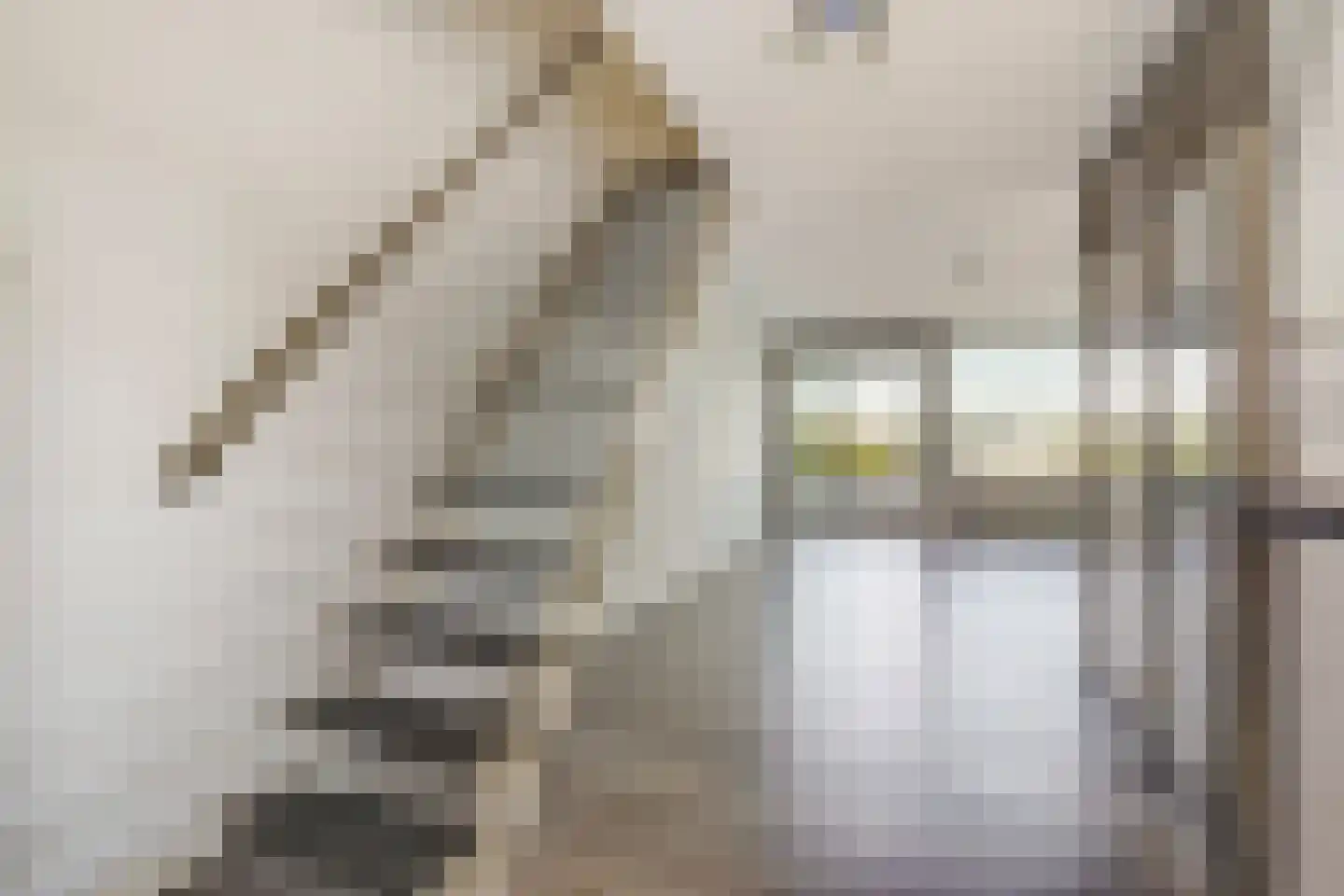 Loevesteinlaan 895 A Den Haag thumbnail 26