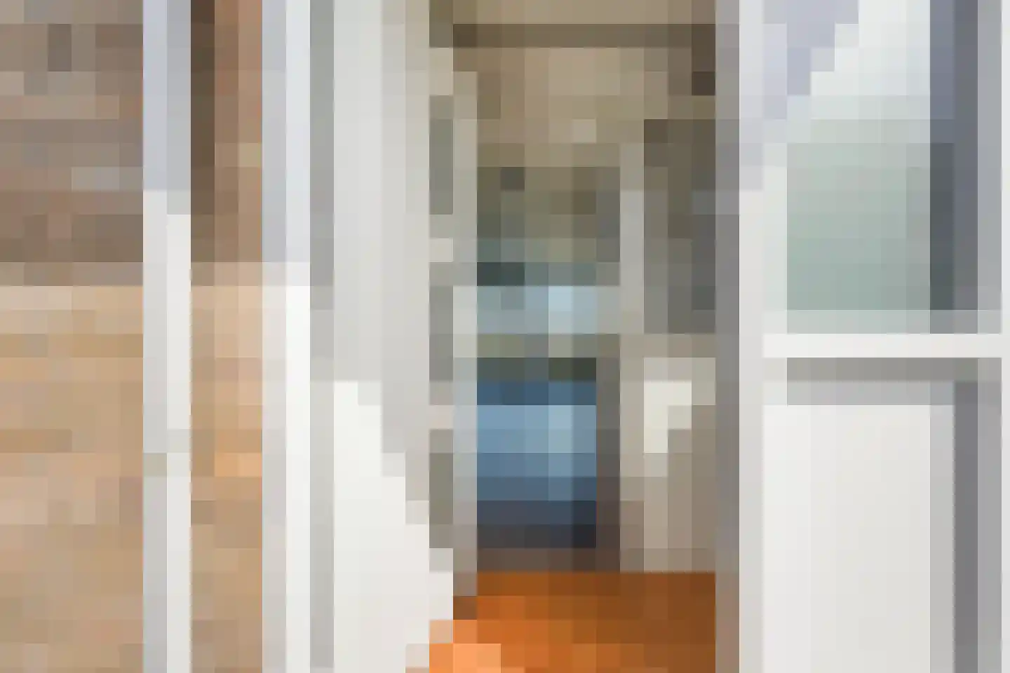 Loevesteinlaan 895 A Den Haag thumbnail 34