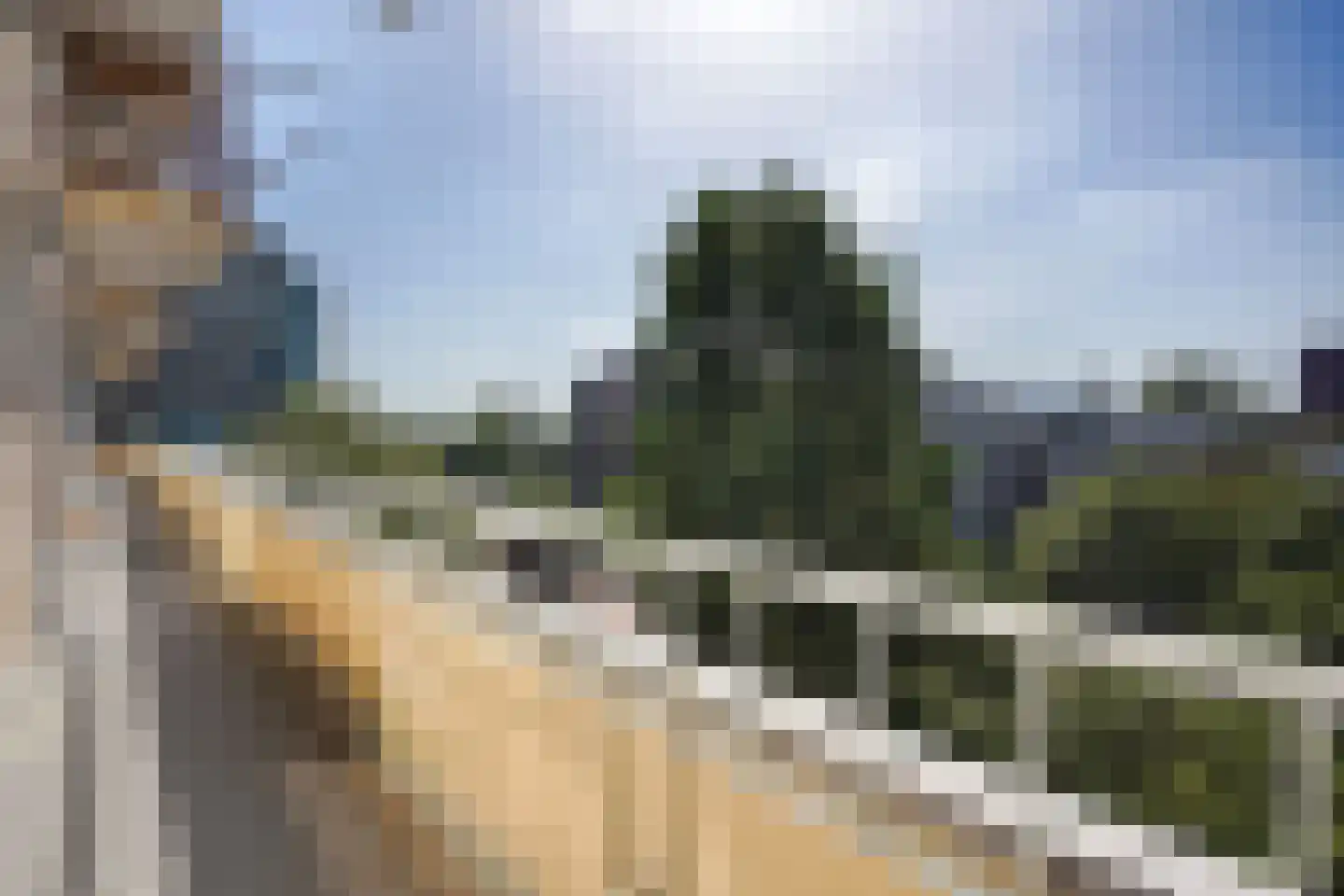 Loevesteinlaan 895 A Den Haag thumbnail 35