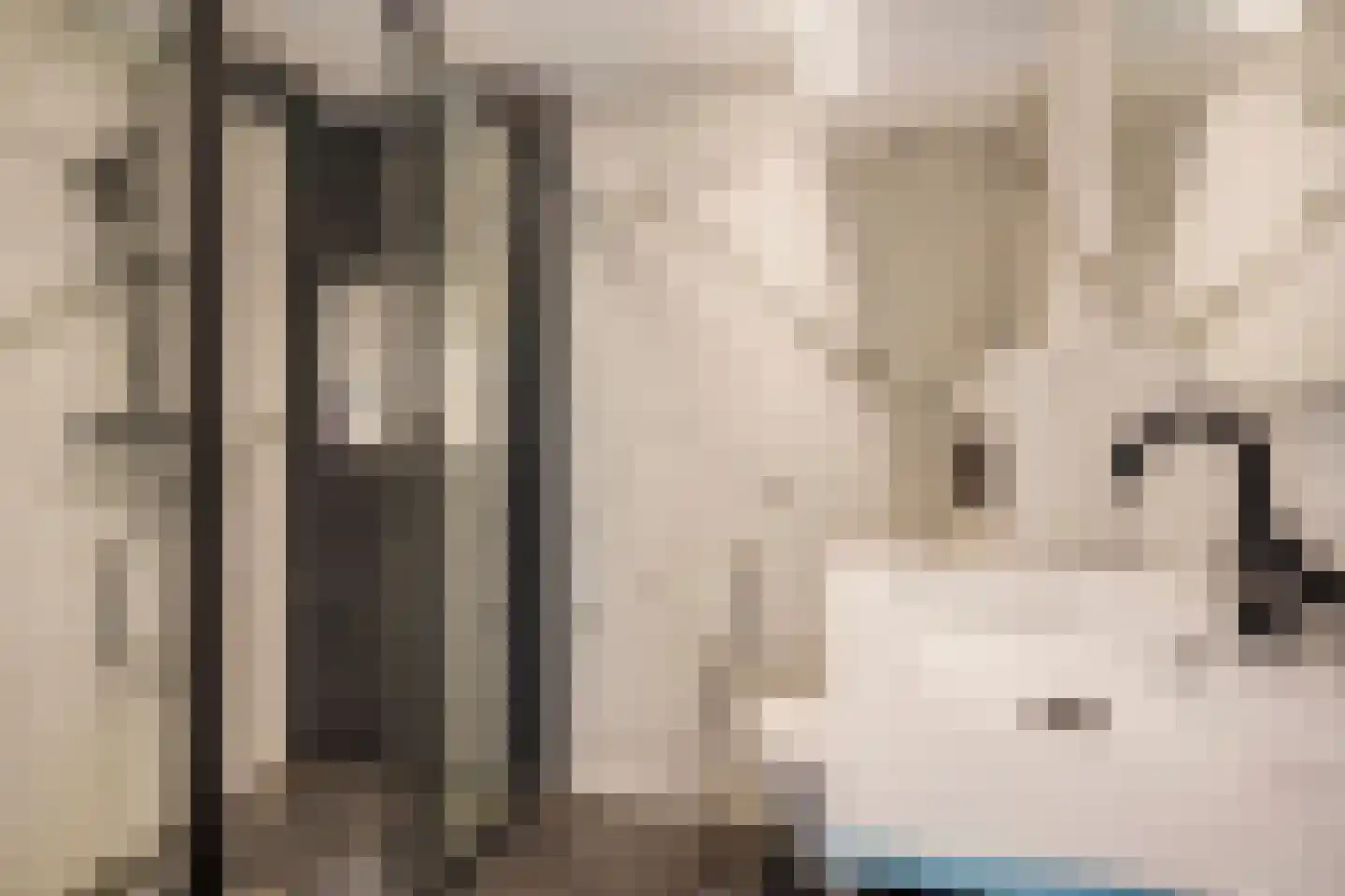 Loevesteinlaan 895 A Den Haag thumbnail 38