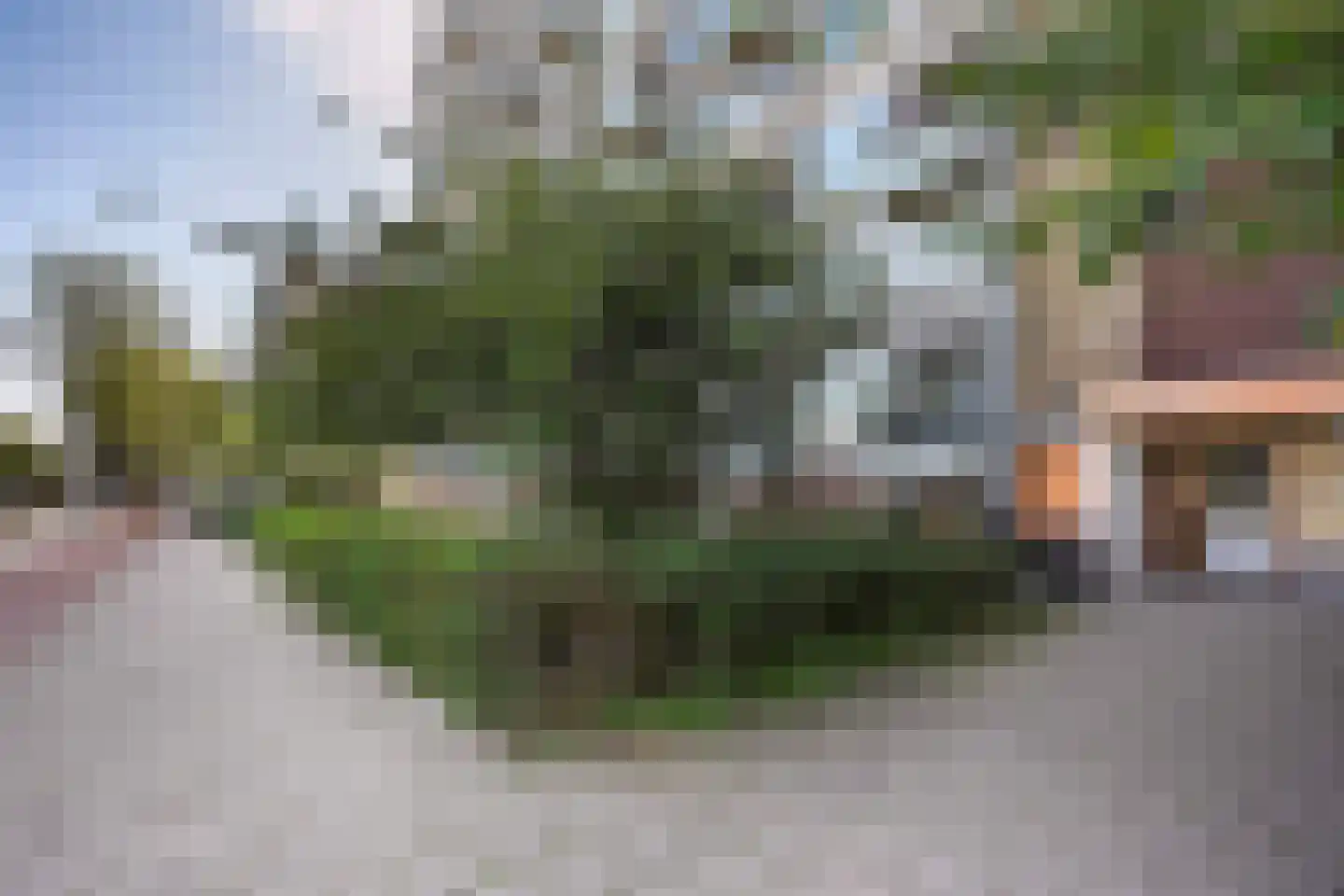 Loevesteinlaan 895 A Den Haag thumbnail 4