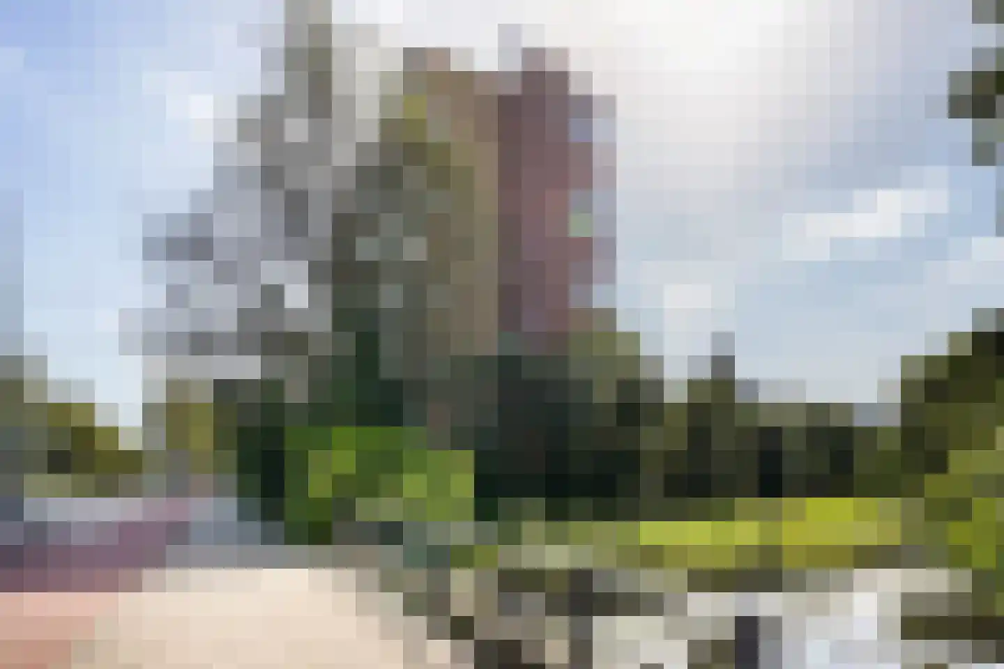 Loevesteinlaan 895 A Den Haag thumbnail 40
