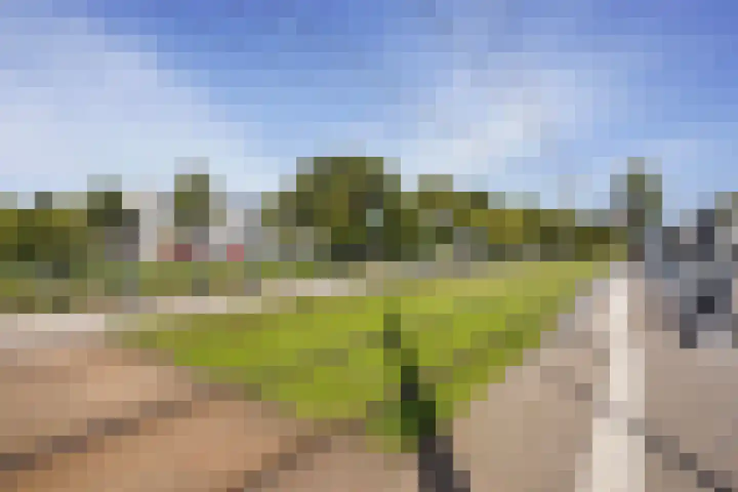 Loevesteinlaan 895 A Den Haag thumbnail 43