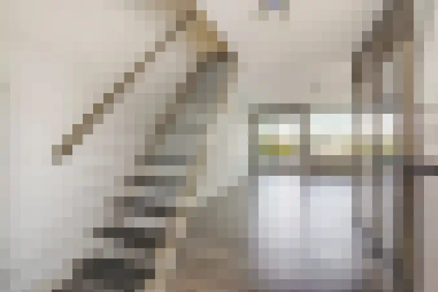 Loevesteinlaan 895 A Den Haag thumbnail 5