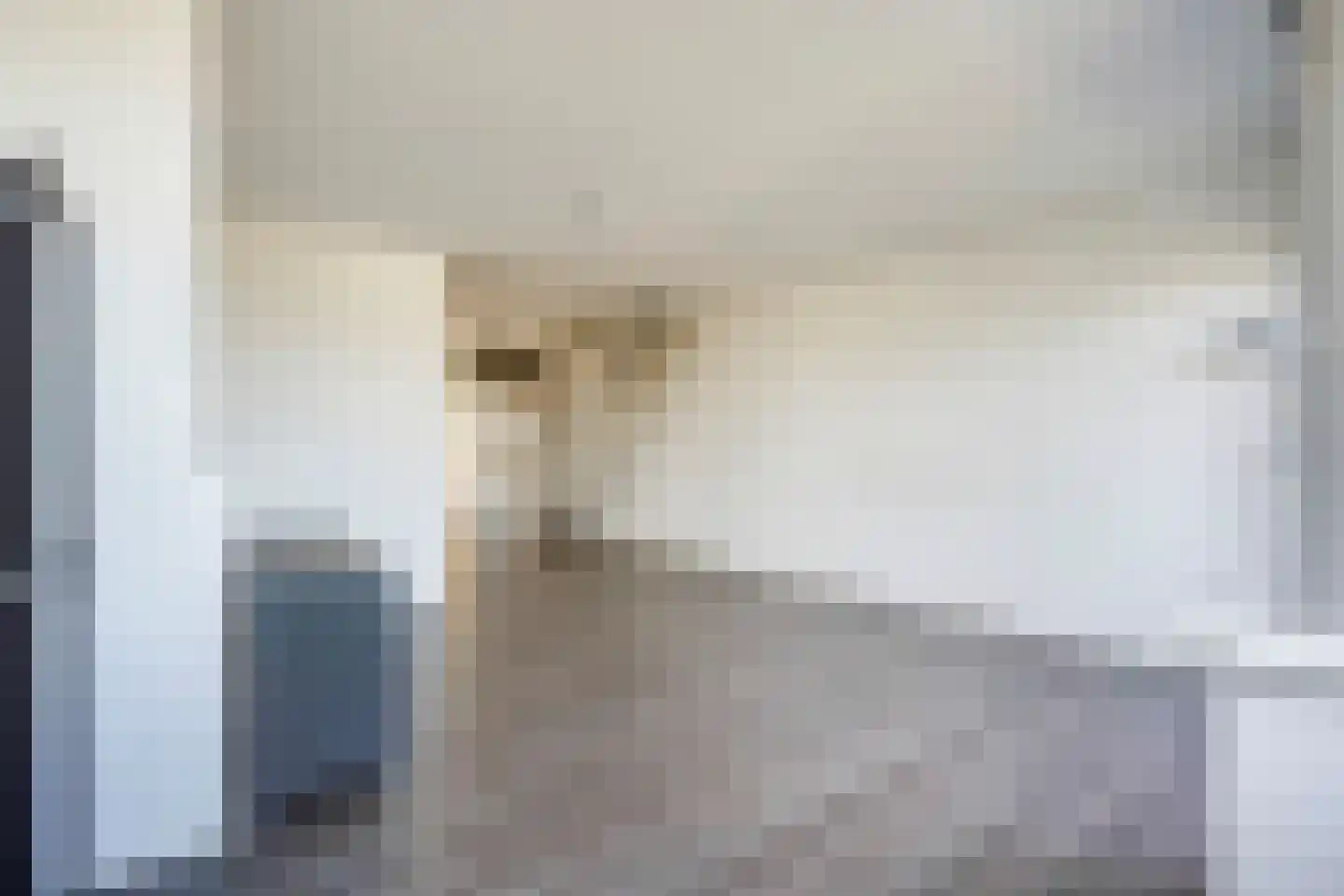 Loevesteinlaan 895 A Den Haag thumbnail 9