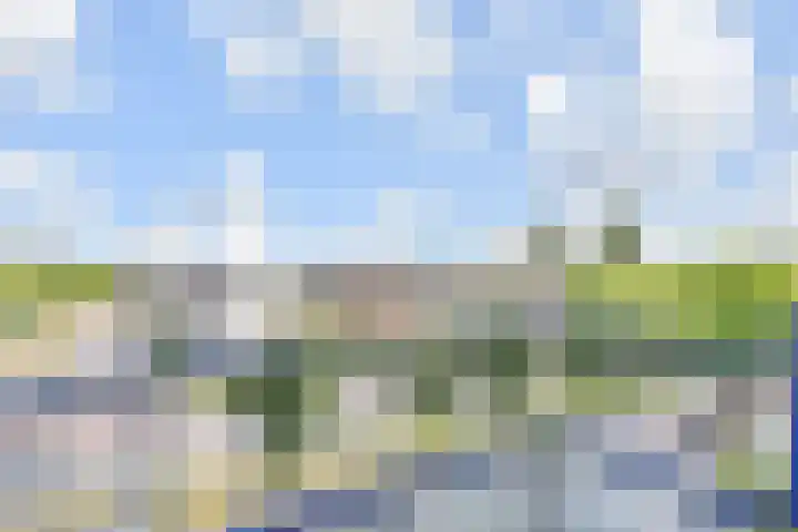 Loevesteinlaan 895 Den Haag thumbnail 15