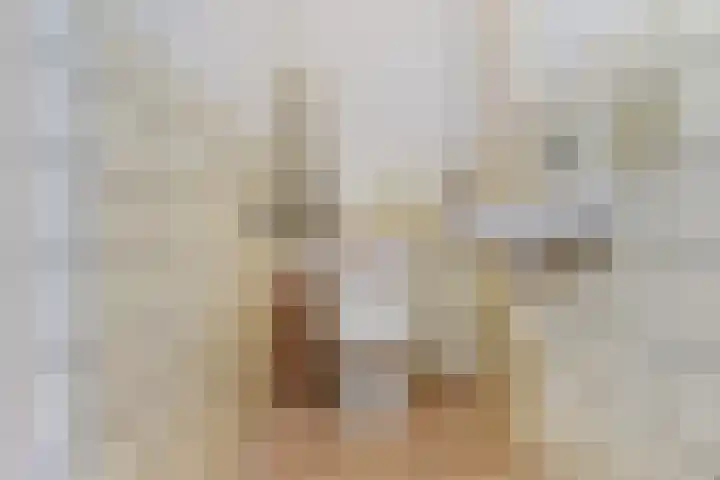 Loevesteinlaan 895 Den Haag thumbnail 23