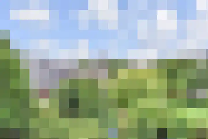 Loevesteinlaan 895 Den Haag thumbnail 30