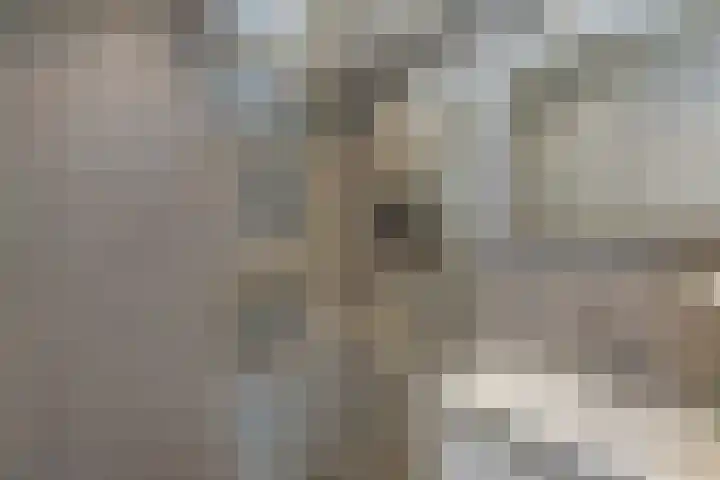 Loevesteinlaan 895 Den Haag thumbnail 37