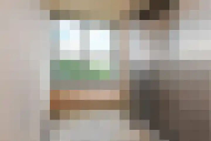 Loevesteinlaan 895 Den Haag thumbnail 4