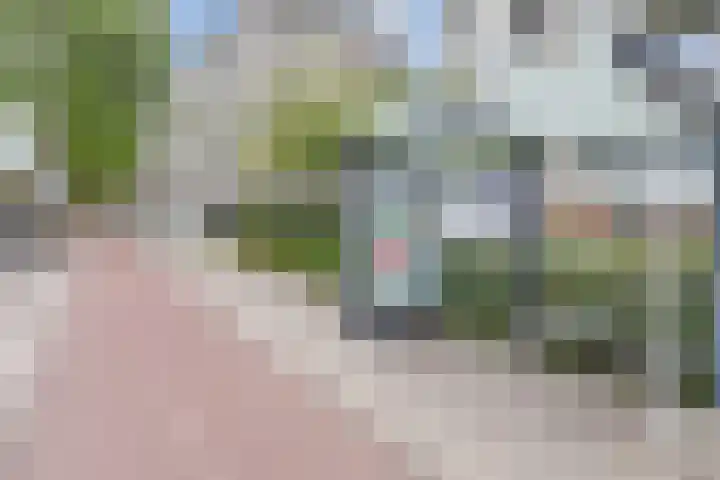 Loevesteinlaan 895 Den Haag thumbnail 42