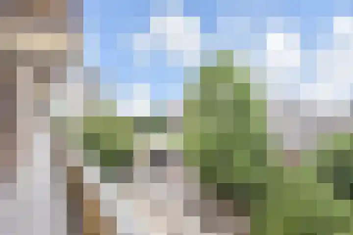 Loevesteinlaan 895 Den Haag thumbnail 5