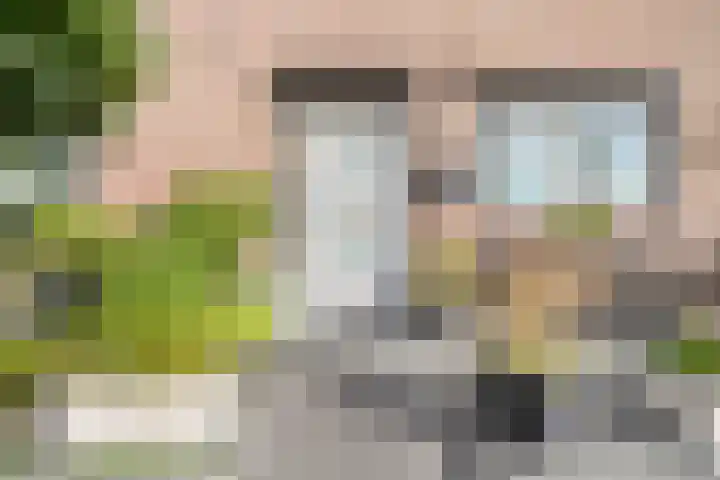 Loevesteinsingel 265 Rotterdam thumbnail 4