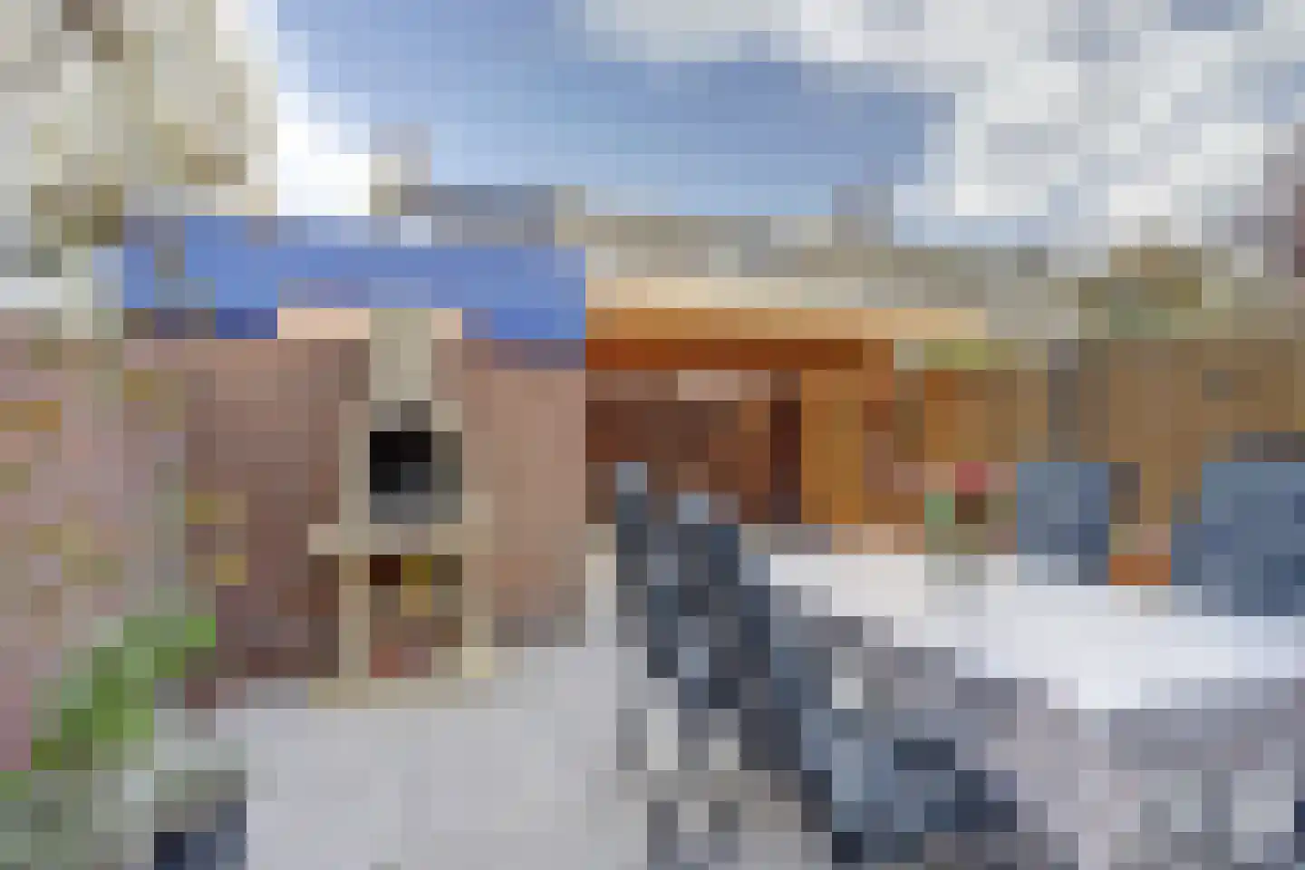 Loevesteinsingel 68 Rotterdam thumbnail 28
