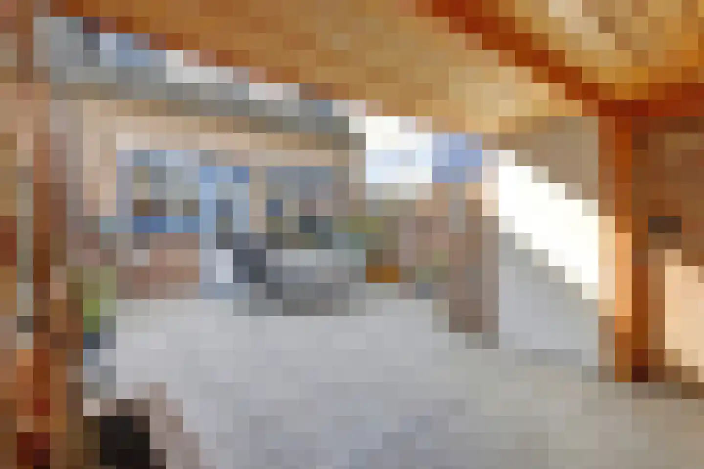Loevesteinsingel 68 Rotterdam thumbnail 30