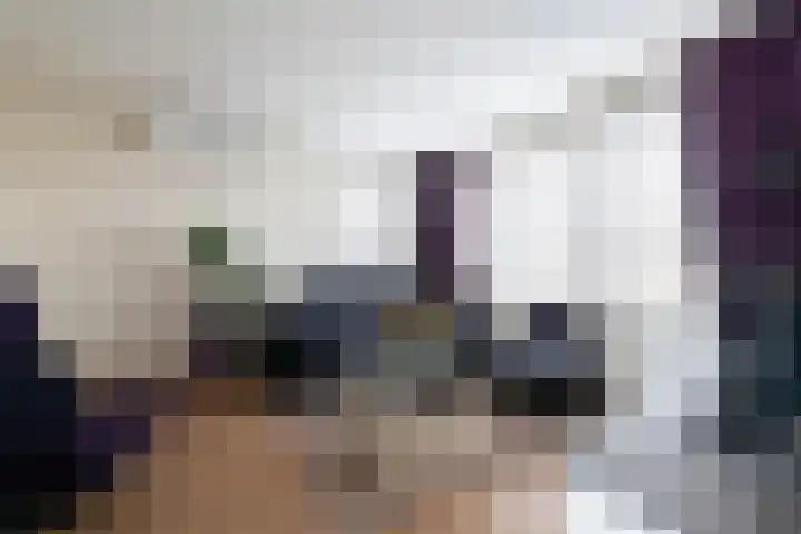 Loevesteinstraat 15 Hellevoetsluis thumbnail 13