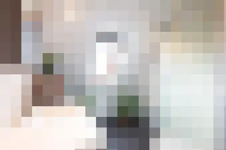 Loevesteinstraat 15 Hellevoetsluis thumbnail 20