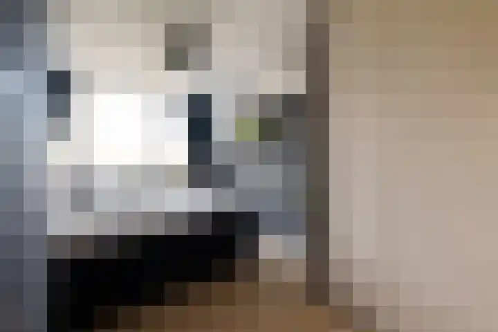 Loevesteinstraat 15 Hellevoetsluis thumbnail 22