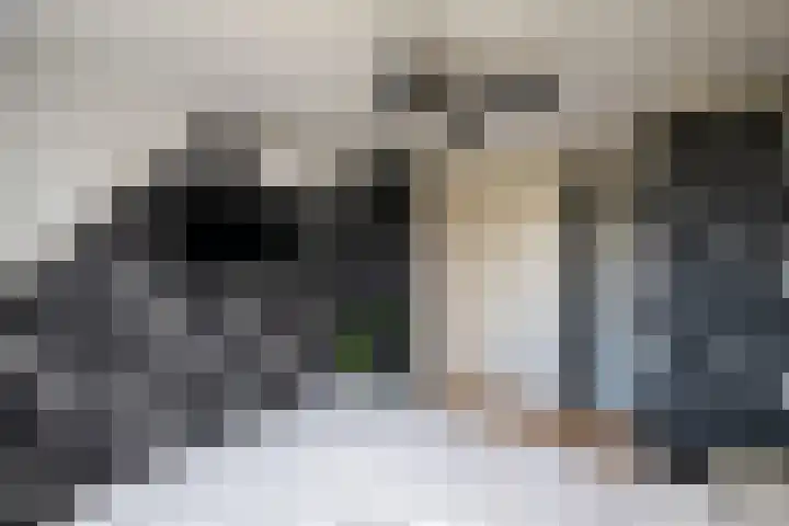 Loevesteinstraat 15 Hellevoetsluis thumbnail 23