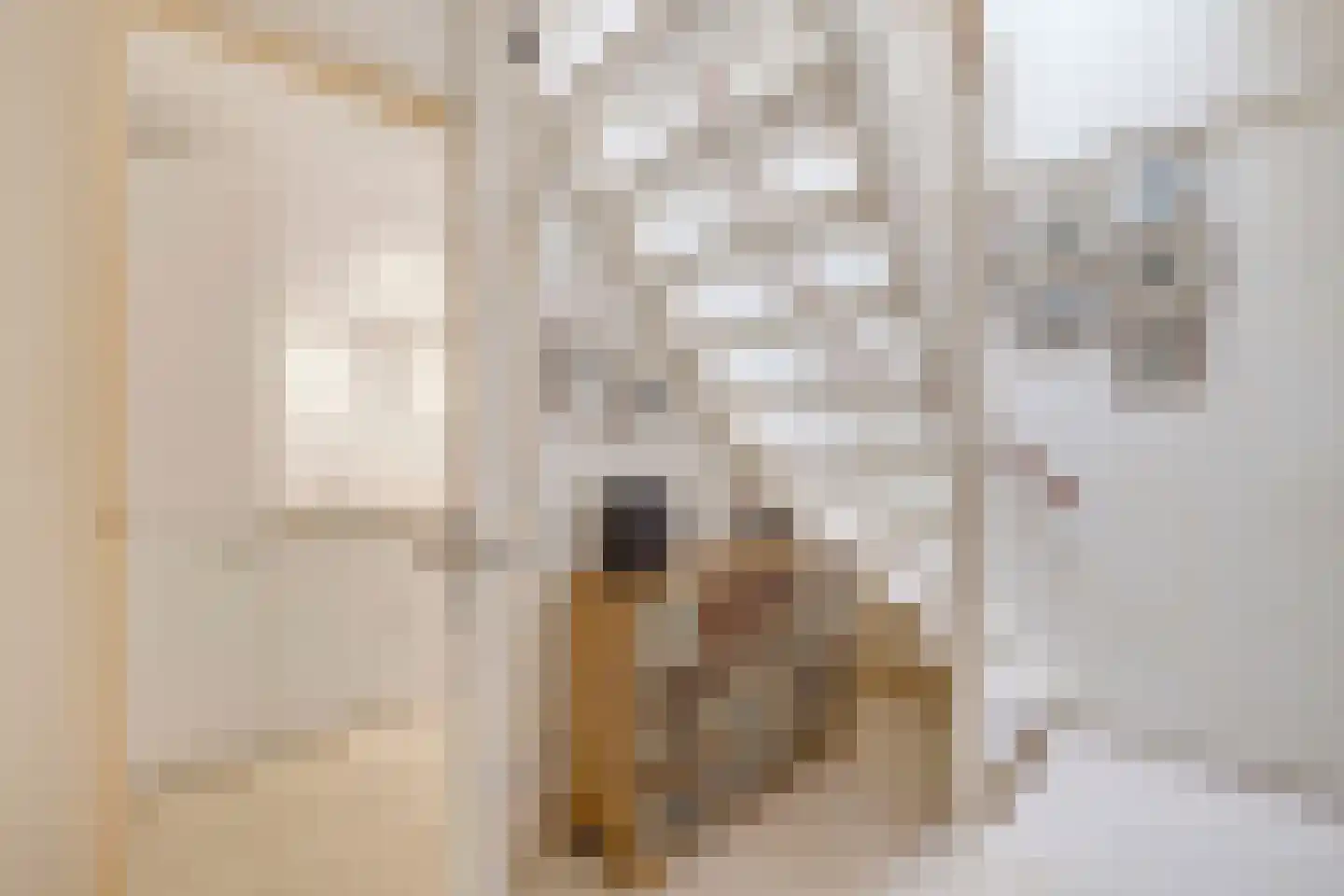 Loevesteinstraat 9 Hellevoetsluis thumbnail 13