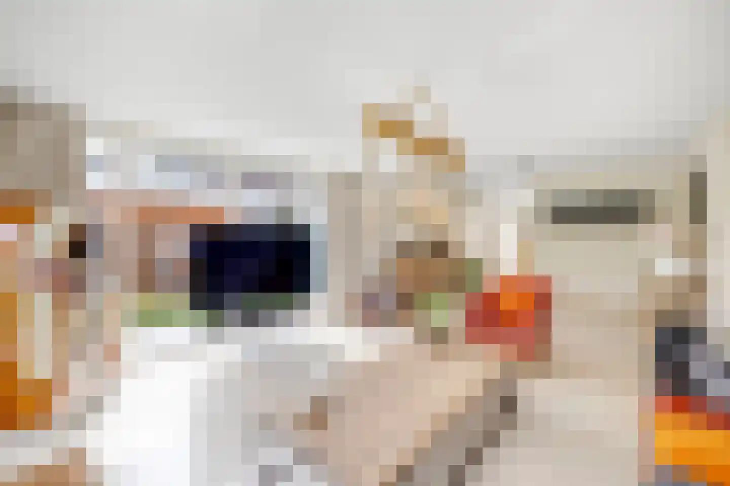 Loevesteinstraat 9 Hellevoetsluis thumbnail 17