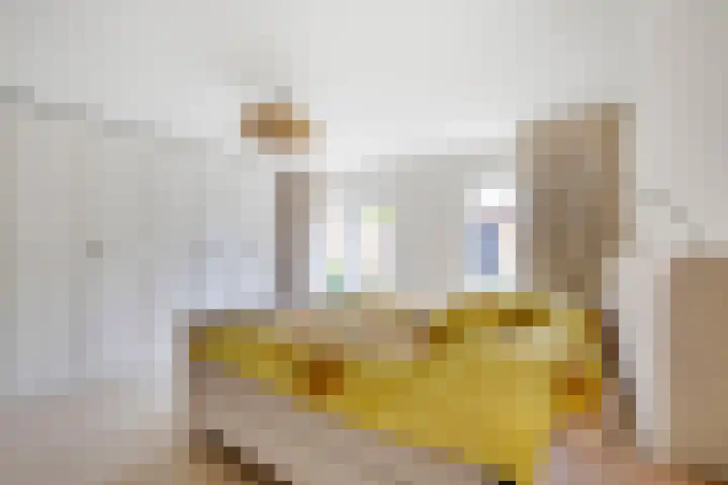 Loevesteinstraat 9 Hellevoetsluis thumbnail 27