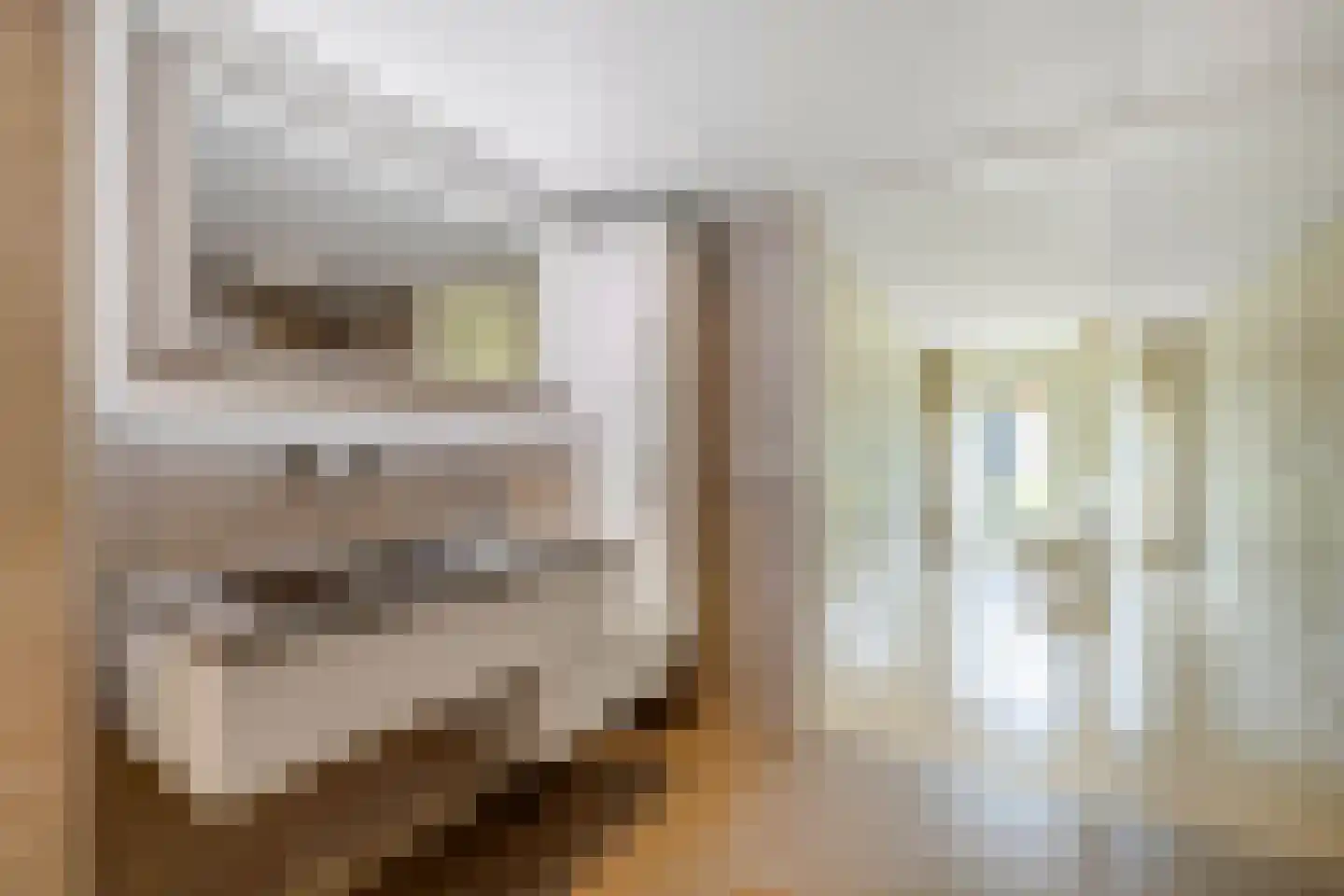 Loevesteinstraat 9 Hellevoetsluis thumbnail 31