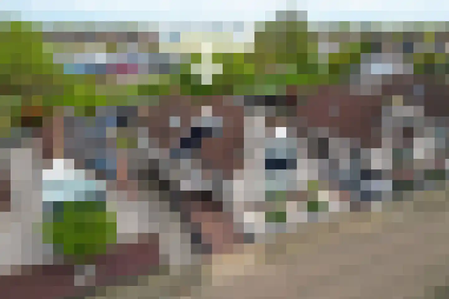 Loevesteinstraat 9 Hellevoetsluis thumbnail 56