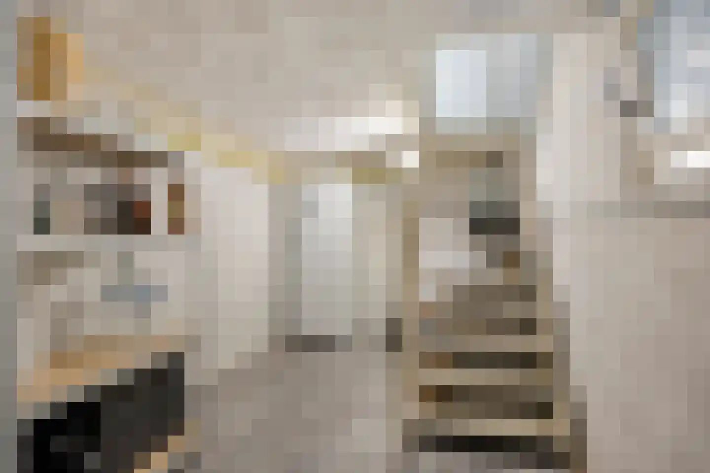 Loevestraat 36 Horst thumbnail 30
