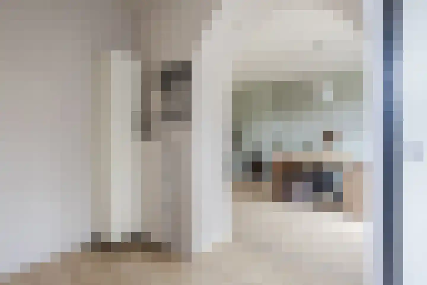 Loevestraat 50 Horst thumbnail 21