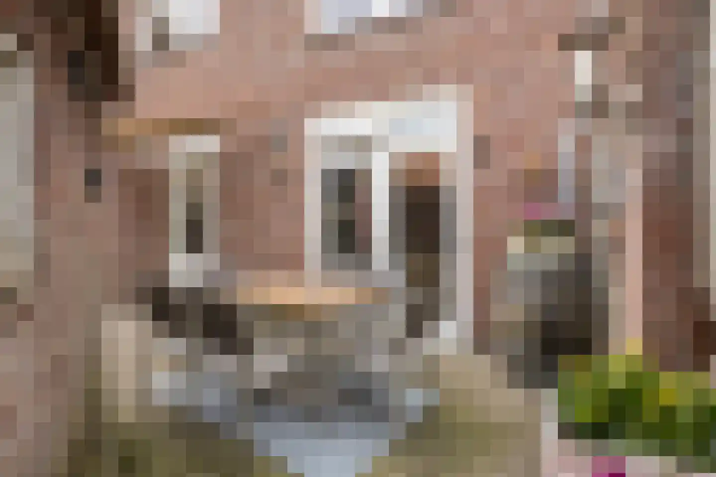Loevestraat 50 Horst thumbnail 44