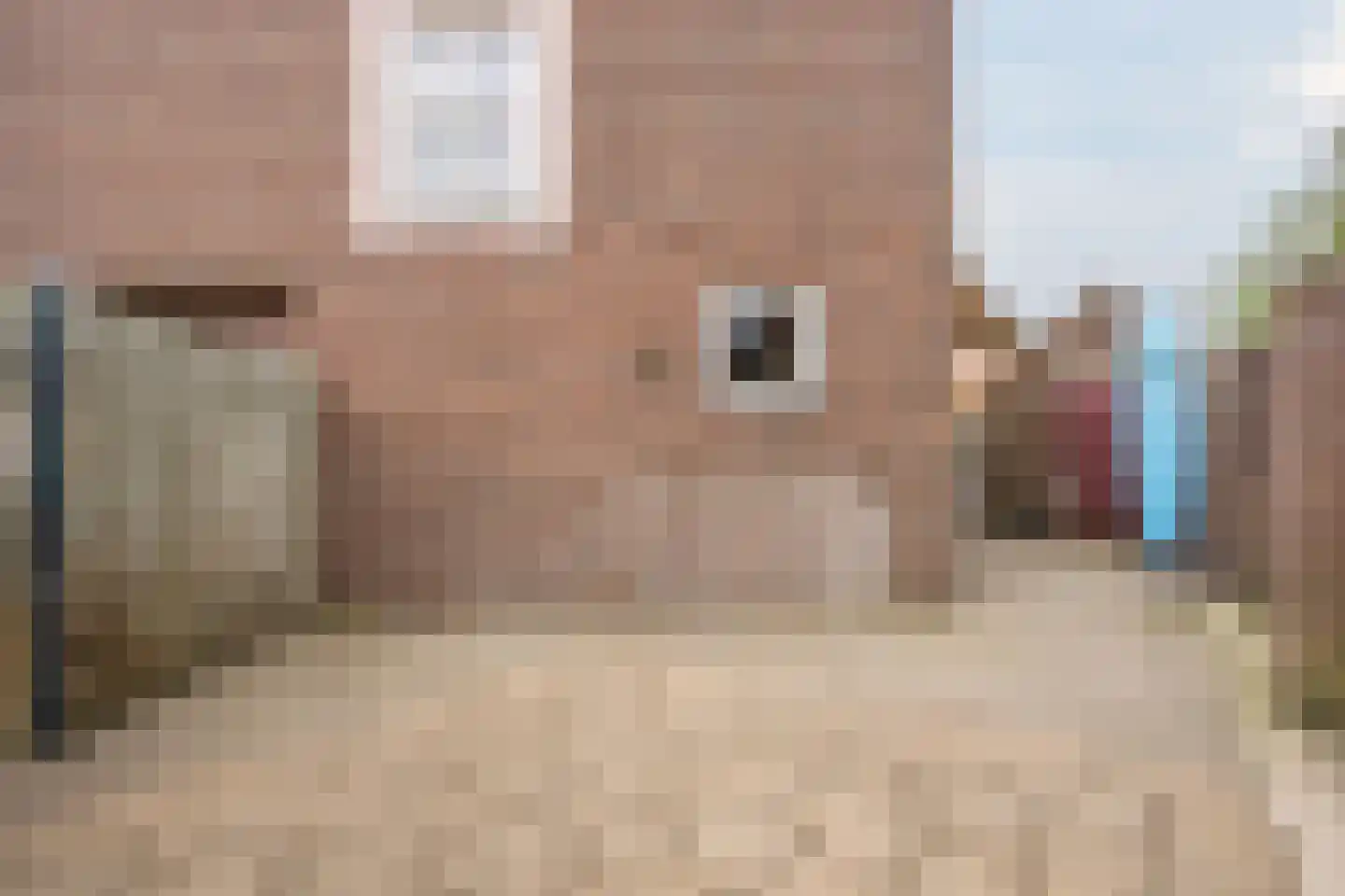 Loevestraat 50 Horst thumbnail 48