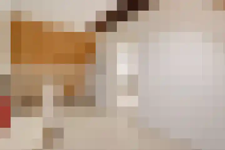 Loezekamp 21 Zwolle thumbnail 24