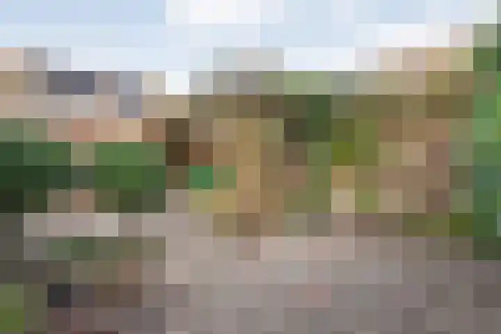 Loezekamp 21 Zwolle thumbnail 29