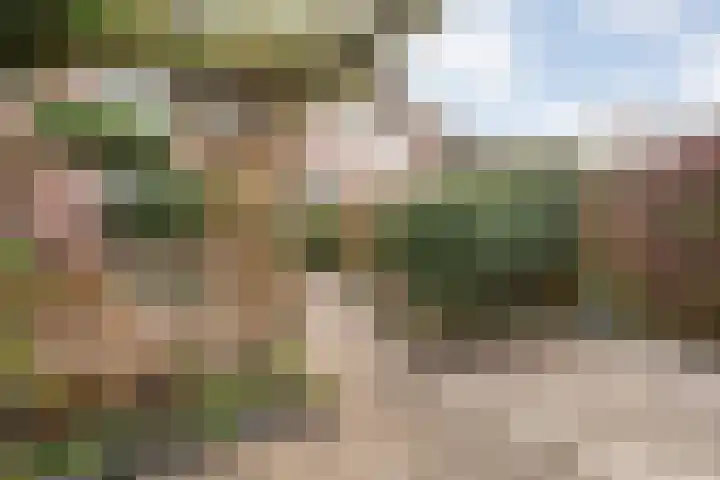 Loezekamp 21 Zwolle thumbnail 30