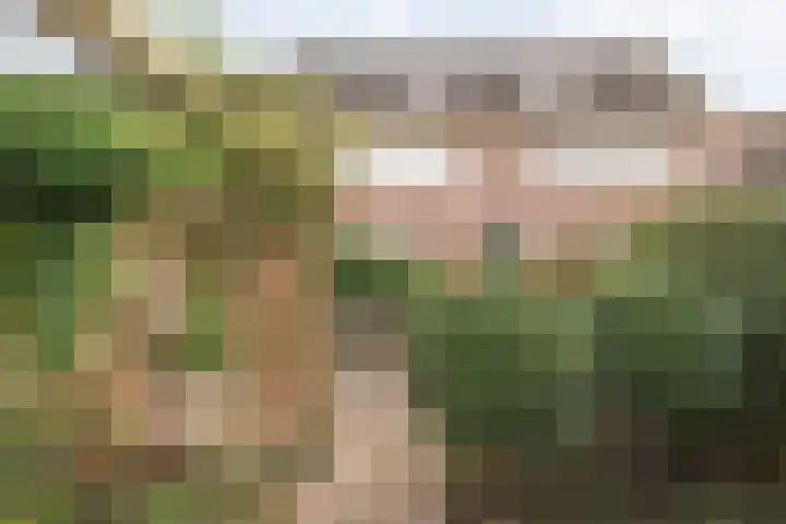 Loezekamp 21 Zwolle thumbnail 31