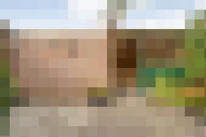 Loezekamp 21 Zwolle thumbnail 32