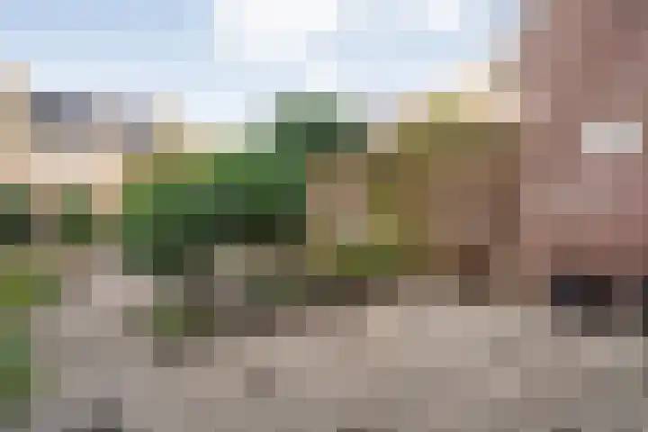 Loezekamp 21 Zwolle thumbnail 35