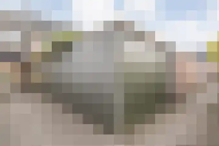 Loezekamp 21 Zwolle thumbnail 36