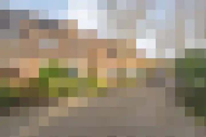 Loezekamp 21 Zwolle thumbnail 37
